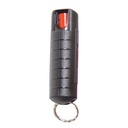 WindGuard Crowd-Safe Foam Pepper Spray - Black Hardshell